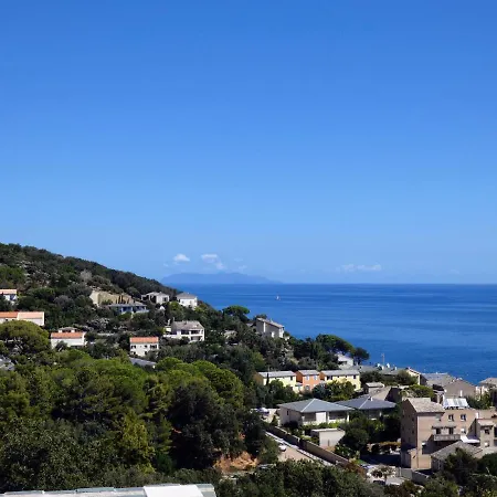 Nepita Erbalunga (Corsica)