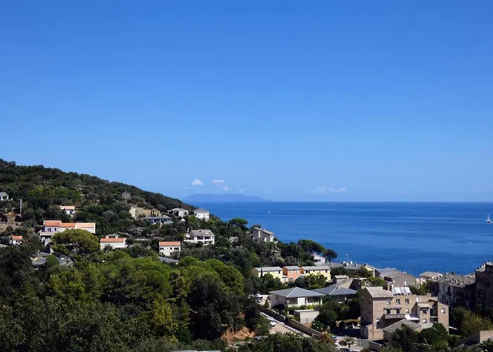 Nepita Erbalunga (Corsica)