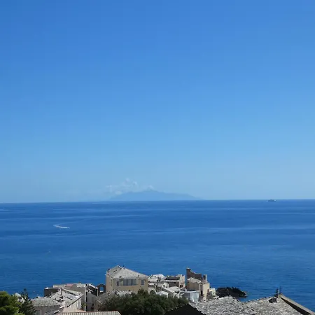 Nepita * Erbalunga (Corsica)