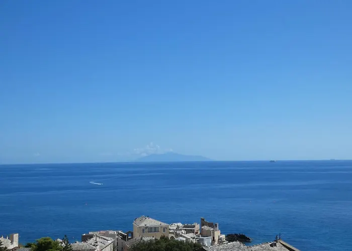 Nepita * Erbalunga (Corsica)